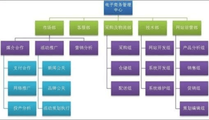 淺談中型電子商務(wù)B2C團(tuán)隊(duì)組織架構(gòu) 以電子產(chǎn)品技術(shù)開發(fā)與銷售為核心